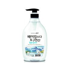  참그린 유럽에서온 베이킹소다&구연산 주방세제 1kg 펌프