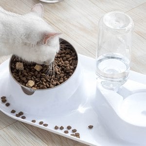 제이큐 고양이 강아지 급수기 급식기 물그릇 믹 높이조절 밥그릇 식기 세트