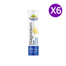 성인용 발포 비타민 마그네슘 15정 X6