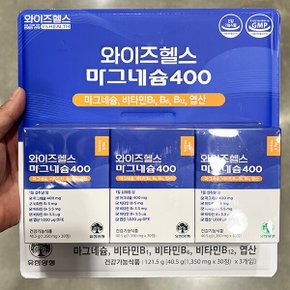 마그네슘400 1350mg x 30정 x 3입 비타민 엽산