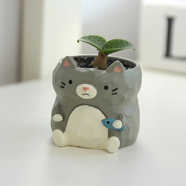 상품이미지5