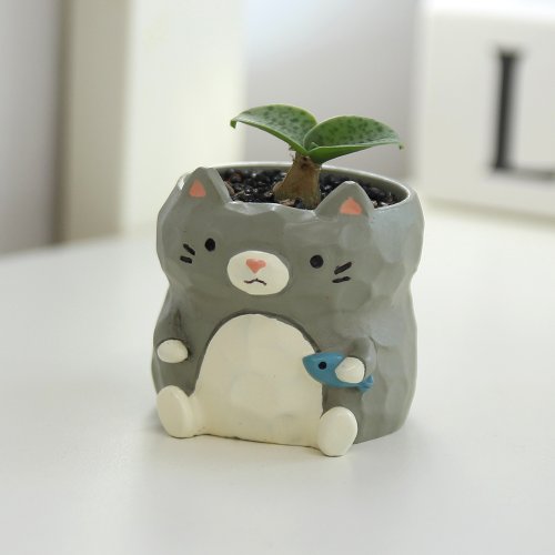 상품이미지5