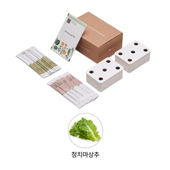 LG [공식] LG 틔운 미니용 씨앗키트 패키지 LPM11 (청치마상추)
