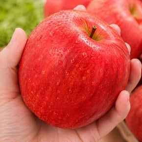 26년 첫출하! 아삭 달콤한 햇 홍로사과 가정용 중대과 2kg (8~9과 내외)