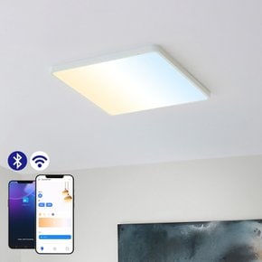 LED 라비나 IOT 방등 60W