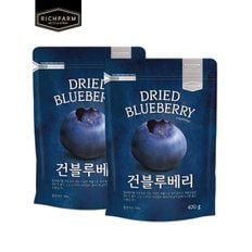 리치팜너트 건블루베리 400g x 2봉