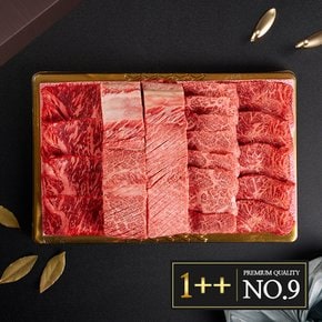 [냉장][한우대가 No9] 1++(9) 프리미엄 1.2kg(채끝+갈비살+업진+부채) 외