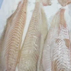  쫄깃쫄깃 필렛 광어회 연안 대광어회 2kg 순살 200g (푸드)
