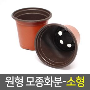 원형 모종화분 소형 원예화분 이색포트 플라스틱화분