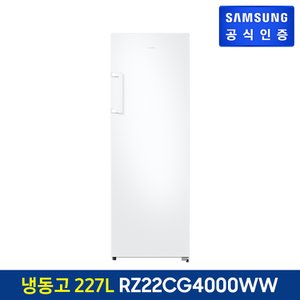 삼성 냉동고 RZ22CG4000WW