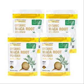마카 분말 CGN 마카 페루산 마카뿌리 가루 파우더 240g X 4통 기획