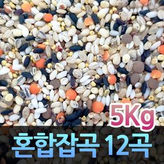 고인돌 H건강한 혼합잡곡 혼합곡 잡곡쌀 12곡 잡곡5kg