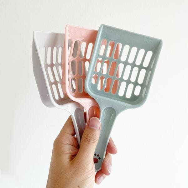 확대된 대표 IMAGE1