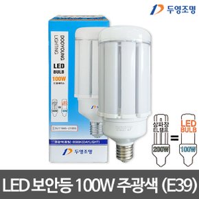 LED 보안등(E39) 100W 주광색 LED벌브