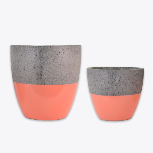 언더라인 코랄 나란히