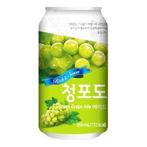 일화 청포도 에이드 350mlx24캔x2박스