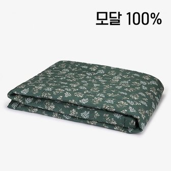 데일리라이크 {~9/19일까지 김해점 할인 행사!!} 소프트 모달 패드 - 15 Lace flower : green 퀸