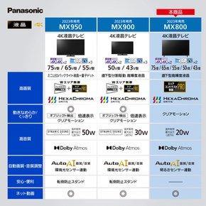 파나소닉55V 4K 더블 튜너 LCD TV TH-55MX800 VIERA 돌비 애트모스 (R) 2023 모델과 호환 가능