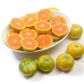 하우스 감귤 1.5kg 소과