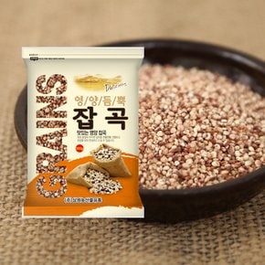 [2025년산] 중국산 찰수수 500g