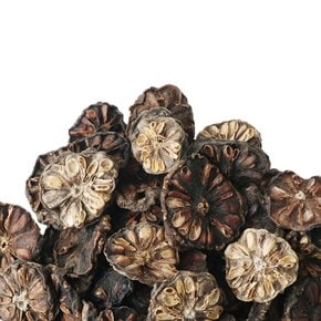 건노니 노니열매 500g