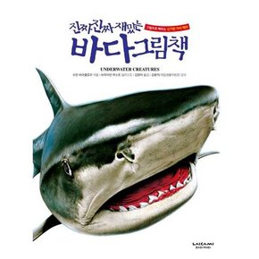 진짜 진짜 재밌는 바다 그림책  - 양장본 Hardcover