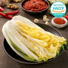 [품질보장] HACCP 해남 김가네 절임배추 20KG