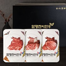 [명절 후 배송]함평천지한우 1+ 구이선물세트 4호 등심/안심/채끝/특수부위 1.2kg