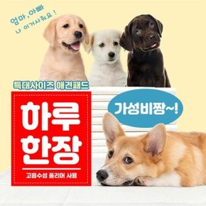 하루한장 대용량 애견패드 140cmx100cm 30매 (WBAD11E)