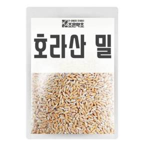 고대곡물 호라산밀 1kg