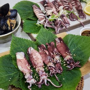 냉동 한치 통찜 1kg