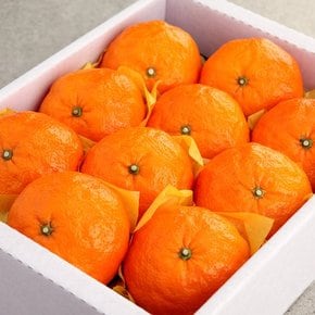 [오초록] 제주 카라향(귤로향) 3kg(13~17과내,선물용)