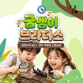 [인천] 아이랑 가볼만한곳! 굼벵이브라더스 이용권(음료/아이스크림 택1 포함)