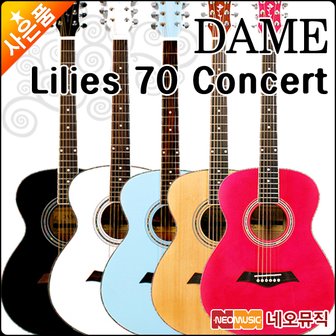 DAME 데임 어쿠스틱기타 Dame Lilies70 Concert