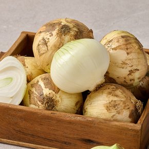 국내산 햇양파 10kg 특