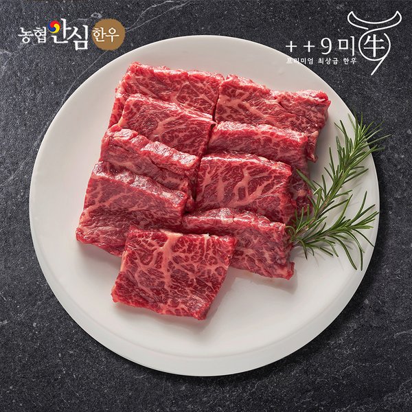 확대된 대표 대표이미지