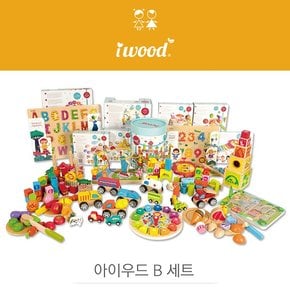 [국민서관] iwood 프리미엄 유아발달 교구세트19종