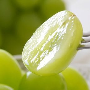 26년 햇 수확 당도 높아 맛있는 샤인머스켓 2kg(3수)