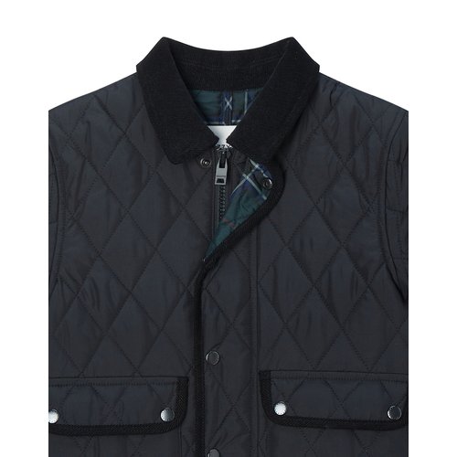 LF Product Image4
