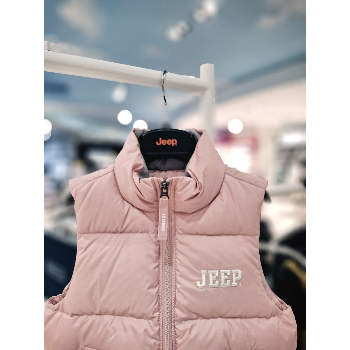 확대된 대표 IMAGE1