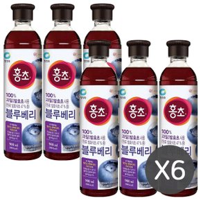 홍초 블루베리 디저트 식초 음료 900mlx6개
