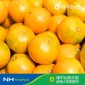 제주농협 귤로장생 하우스감귤 1.5kg 소과