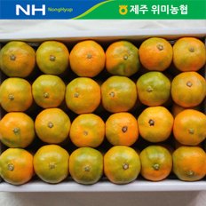 제주 위미농협 하우스감귤 1.5kg(15-25과)/참맛제