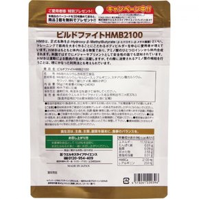웰니스 라이프 사이언스 빌드 파이트 HMB2100 라지 팩 240정