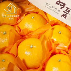 제주직송 새콤달콤한 천혜향 1kg(7-8과내외,소과)