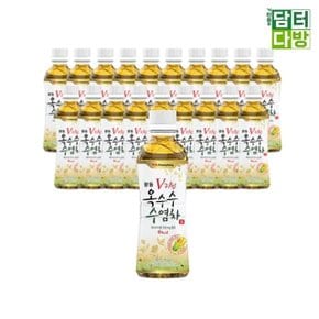 광동제약 옥수수수염차 340ml (20페트) (W11C55C)