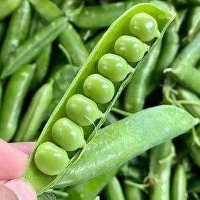 국내산 완두콩 1kg