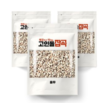 고인돌 H고인돌잡곡 율무 600g(200gx3개) 국내산