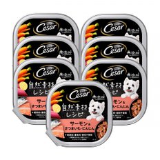 Caesar Dog Food 자연 소재 레시피 연어 & 고구마 · 당근 성견 85g (x 7) (정리 구매)