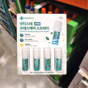 코스트코 덴티스테 브레스케어 스프레이